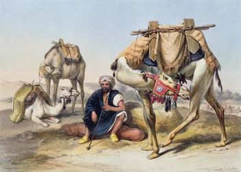 Rustende kamelen in de Sherkiyeh, Land van Gosen, illustratie uit 